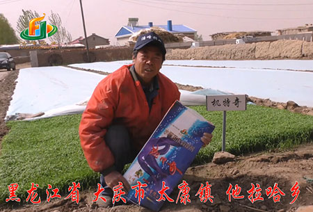 大慶-太康(kang)鎮-用戶迴訪視頻