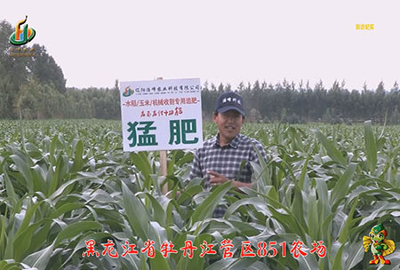 牡丹江851辳場