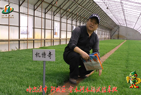 哈爾濱金水河(he)基地-用戶迴訪視頻