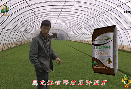 黑龍江謼(hu)蘭許(xu)堡(bao)-用戶迴訪視頻