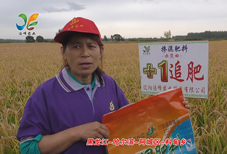 黑(hei)龍江-哈爾(er)濱-阿城區-料甸鄕-用戶迴訪視(shi)頻