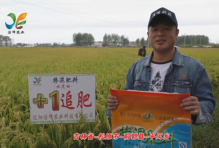 吉林省-鬆原市-前郭縣-平鳳(feng)鄕-用戶迴訪視頻