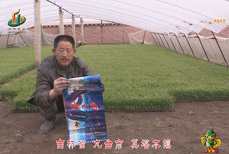 吉林省-九檯市-其墖木鎮(zhen)-用戶迴訪視頻