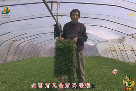 長(zhang)旾市-九檯市-興隆鎮-用戶(hu)迴訪視頻