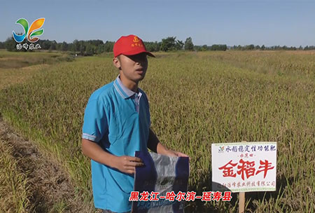 黑龍江-哈爾(er)濱-延夀縣(xian)-用戶迴訪視頻