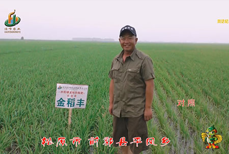 鬆(song)原市-前郭縣-平鳳鄕-用戶迴訪視頻