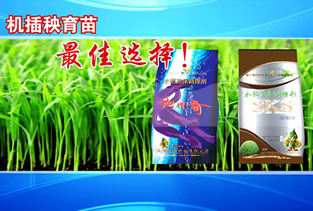 新(xin)一代苗牀(chuang)調理劑