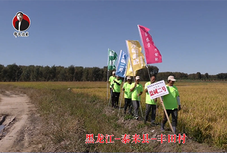 黑龍(long)江-泰來縣-豐田邨-01