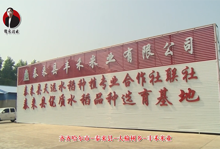 泰(tai)來縣-大榆樹鄕(xiang)-豐禾米業