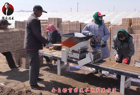 《錦良(liang)技術》水溶壯秧劑-流水線應用